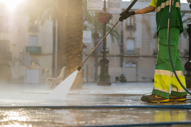 Best Soft Washing for Delicate Surfaces in Glenwood, MN